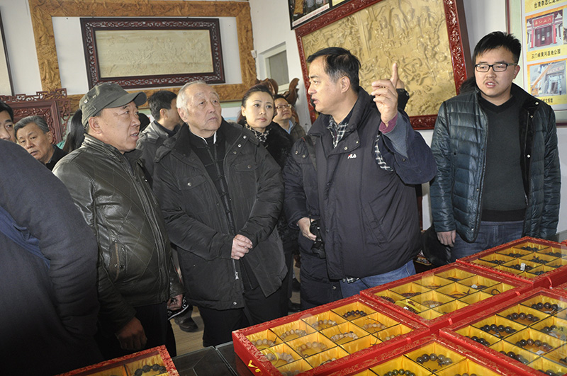 著名民俗学家王丙安先生及北京专家组领导视察